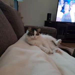 Meet your Posher, Barbara